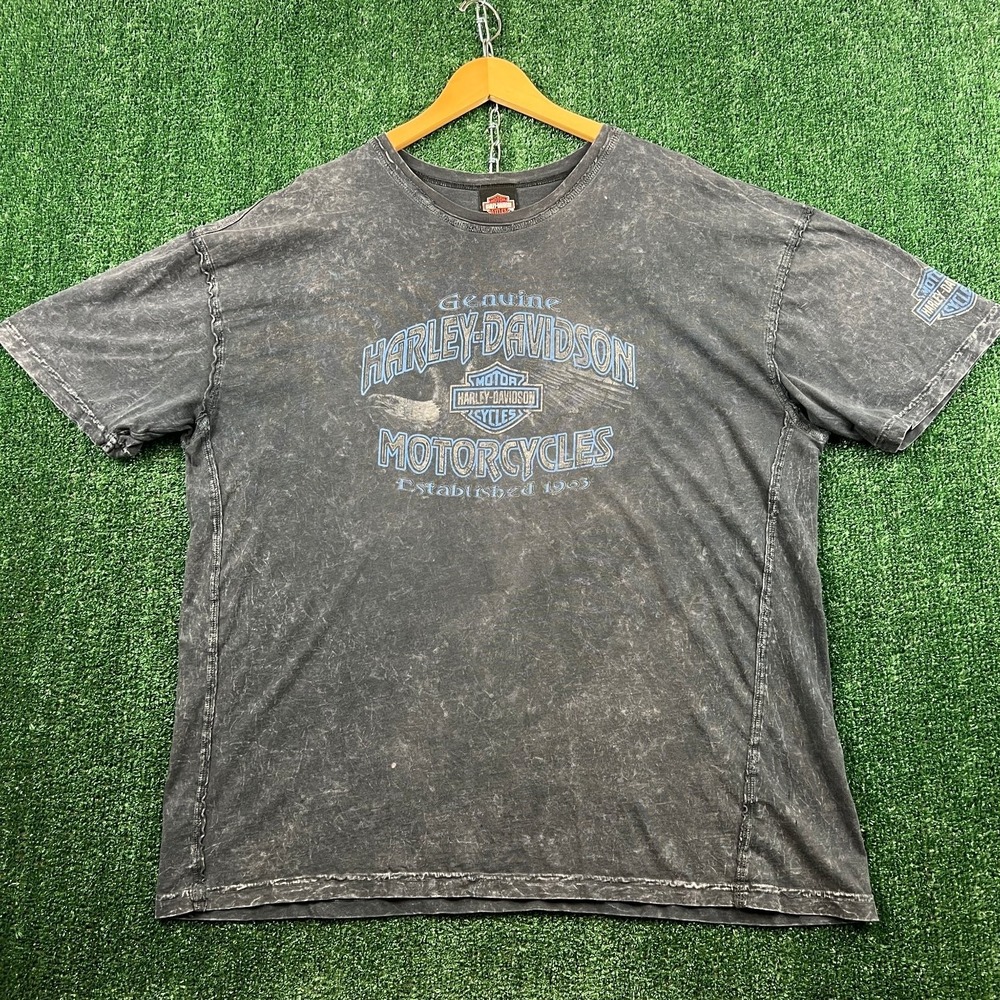 VTG Harley-Davidson T-Shirt Mens XL Fade Gray Scottsdale Snake Skull Arizona Y2K